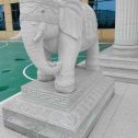 南昌 白麻花岗岩动物异形石雕-大象